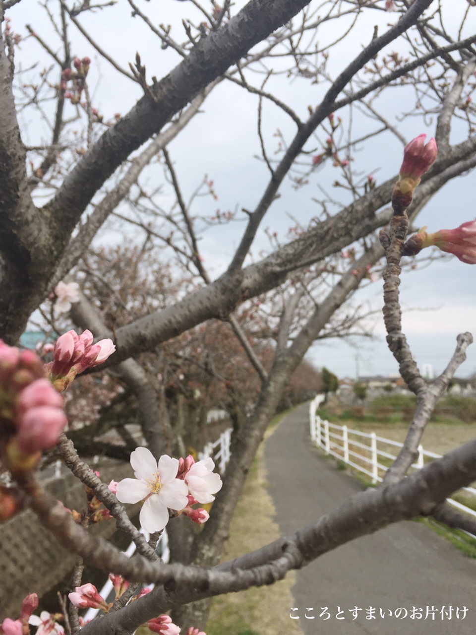 おかげさまで丸9年、10年目を迎えました